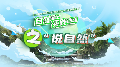 一粒米的旅程