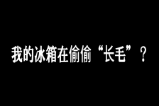 我的冰箱在偷偷长毛