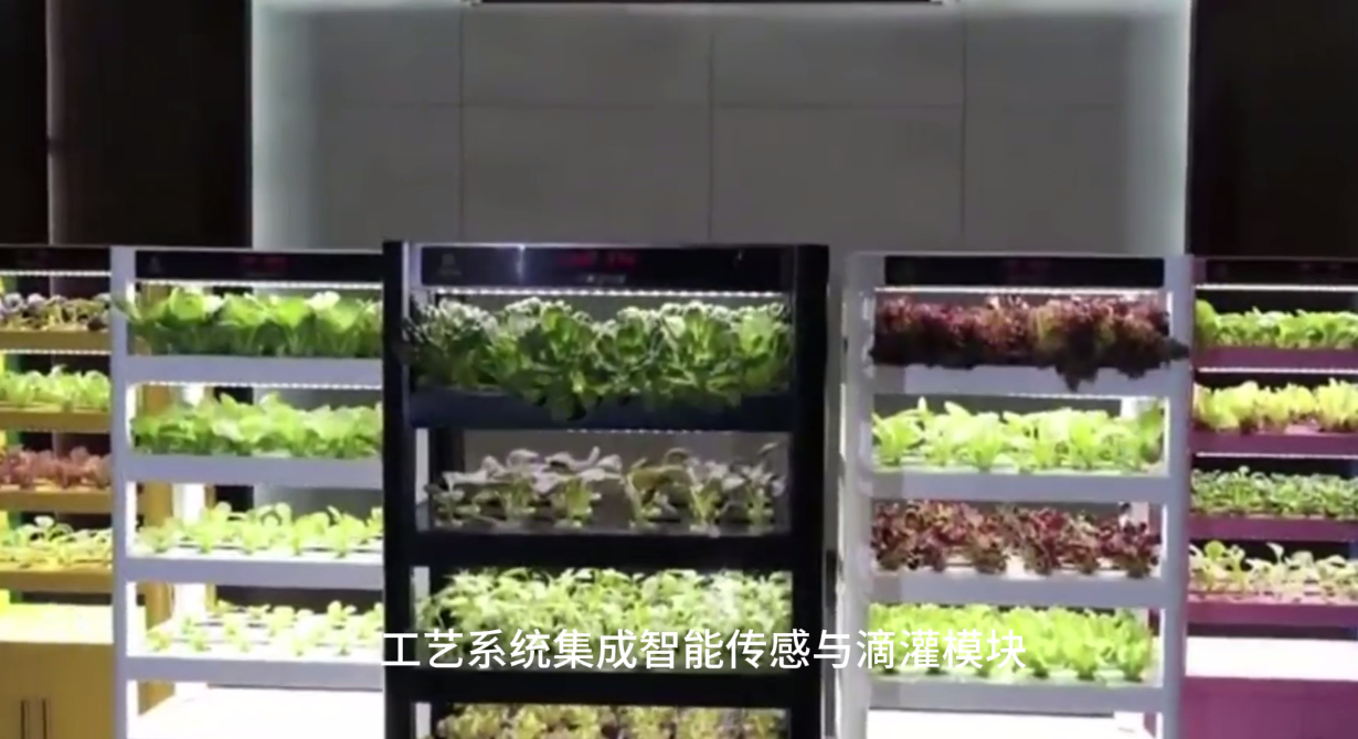 筑绿匠芯