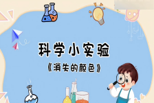 消失的颜色