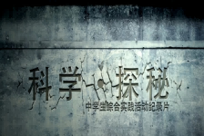 野泉之谜