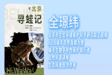 北京寻蛙记