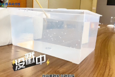 戳中水中垫圈