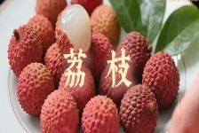 广西的荔枝