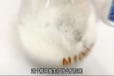 厨房里隐藏的危险