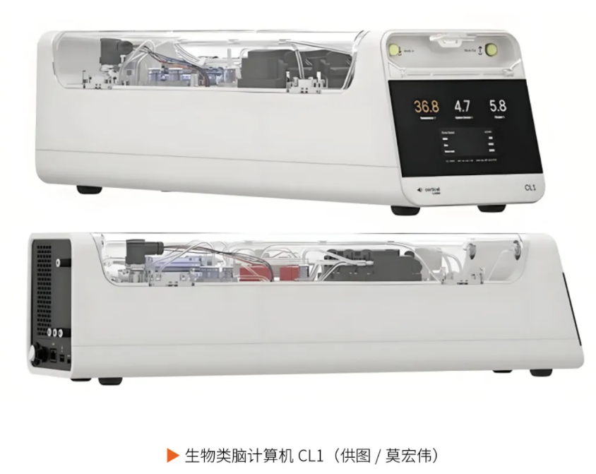 “天机”类脑芯片，到底在“类”什么？