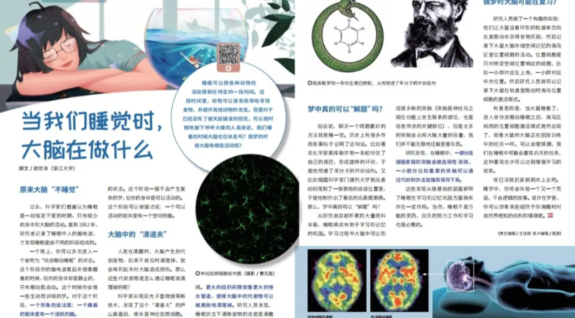 “脑科学 ”+“脑机接口”——《知识就是力量》2026年7月刊主题征文开始啦！