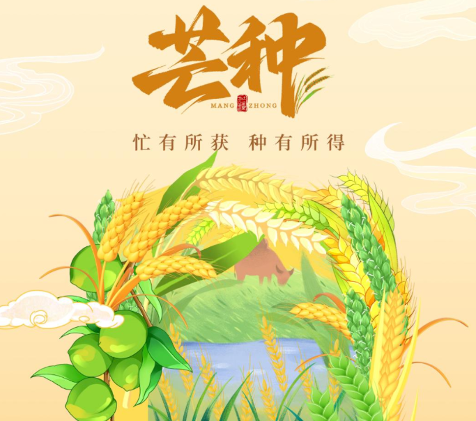 二十四节气独一份！芒种之名，源自田间农耕劳作